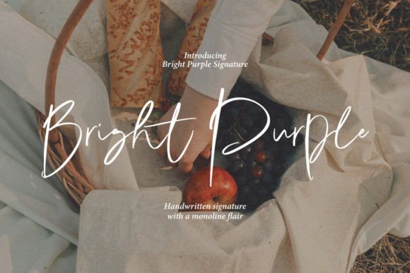 Modern Edge: Using the Bright Purple Typeface